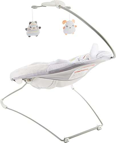 Fisher-Price Sweet Snugapuppy Deluxe Bouncer, Portable Bouncing Baby Seat with Overhead Mobile, Music and Calming Vibrations, White